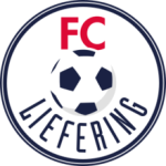 列弗宁队标